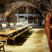 Wine Tasting & Winery Tours