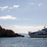 Catamaran Cruises