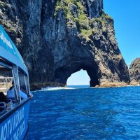 Ports of Call Tours