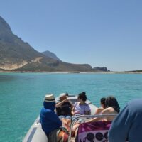Day Cruises