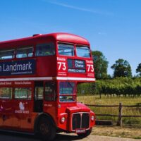 Bus & Minivan Tours
