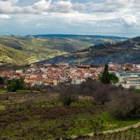 Wine Tasting & Winery Tours