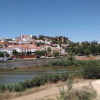 Wine Tasting & Winery Tours