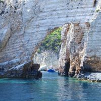 Bus & Minivan Tours