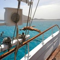 Audio Guided Tours