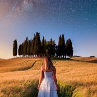 Private Sightseeing Tours