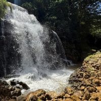Audio Guided Tours