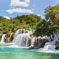 Eco Tours