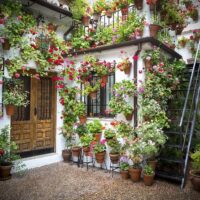 Multi-day & Extended Tours