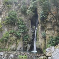 Private & Custom Tours