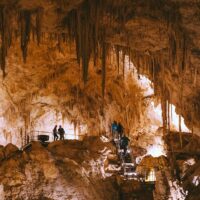 Sightseeing Tickets & Passes