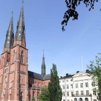 Archaeology Tours