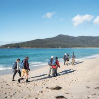 Eco Tours