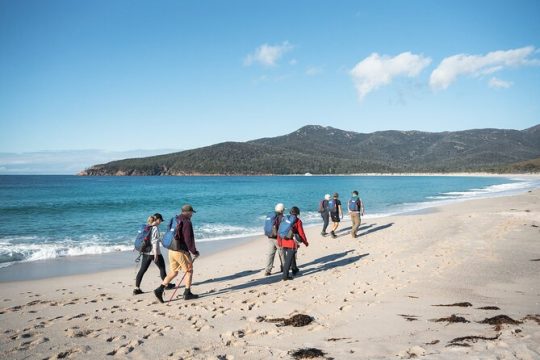 New Year’s Eve in Coles Bay