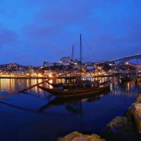 Night Tours