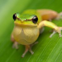 Photography Tours