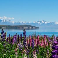 Walking & Biking Tours