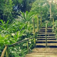 Day Trips & Excursions