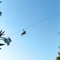 Ziplines