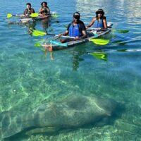 Kid Friendly Tours & Activities