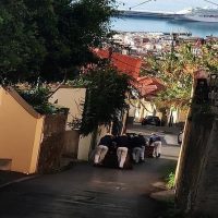 Ports of Call Tours