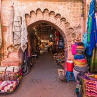 Multi-day Tours