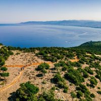 Cruises, Sailing & Water Tours