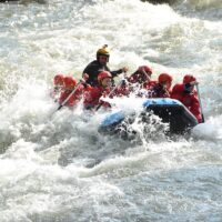 Holiday & Seasonal Tours