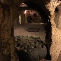 Private Sightseeing Tours