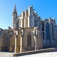 Multi-day & Extended Tours