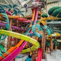 Kid Friendly Tours & Activities