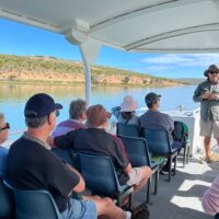 Day Cruises