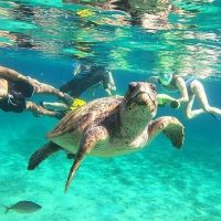 Ports of Call Tours