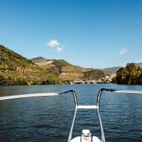 Day Cruises