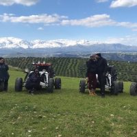 Day Trips & Excursions
