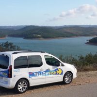Airport & Ground Transfers