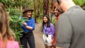 Do this! An amazing nature experience!