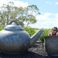 Coffee & Tea Tours