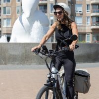 Bike Rentals
