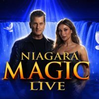 Family-friendly Shows