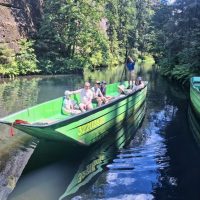 Bus & Minivan Tours