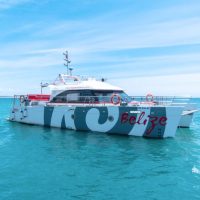 Catamaran Cruises