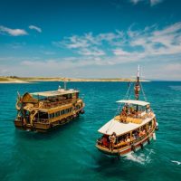 Half-day Tours