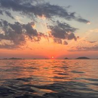 Luxury Tours