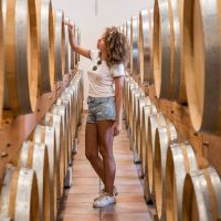 Food, Wine & Nightlife