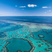 Multi-day Cruises
