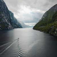 Day Cruises