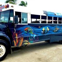 Tours & Sightseeing