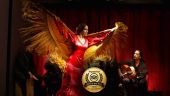 Great Flamenco show and guitar museum!