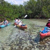 Self-guided Tours & Rentals